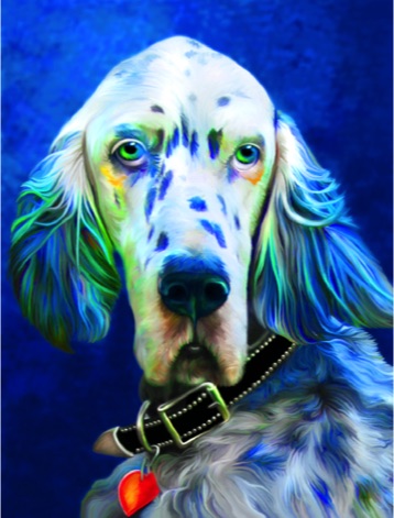 English Setter