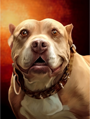 Ceasar Milan, Pit Bull